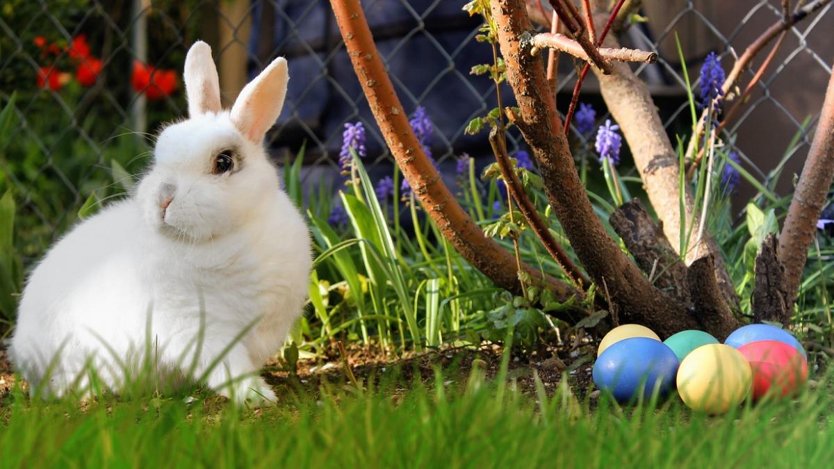 urari de paste 2018 cele mai inspirate urari pe care sa le trimiteti celor dragi