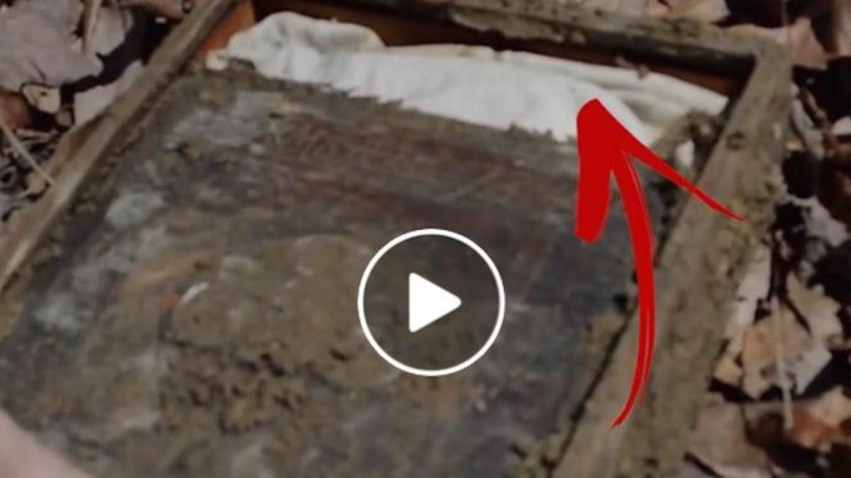 au gasit o cutie ciudata in padure si au deschis o surpriza a fost uriasa video urmarit de milioane