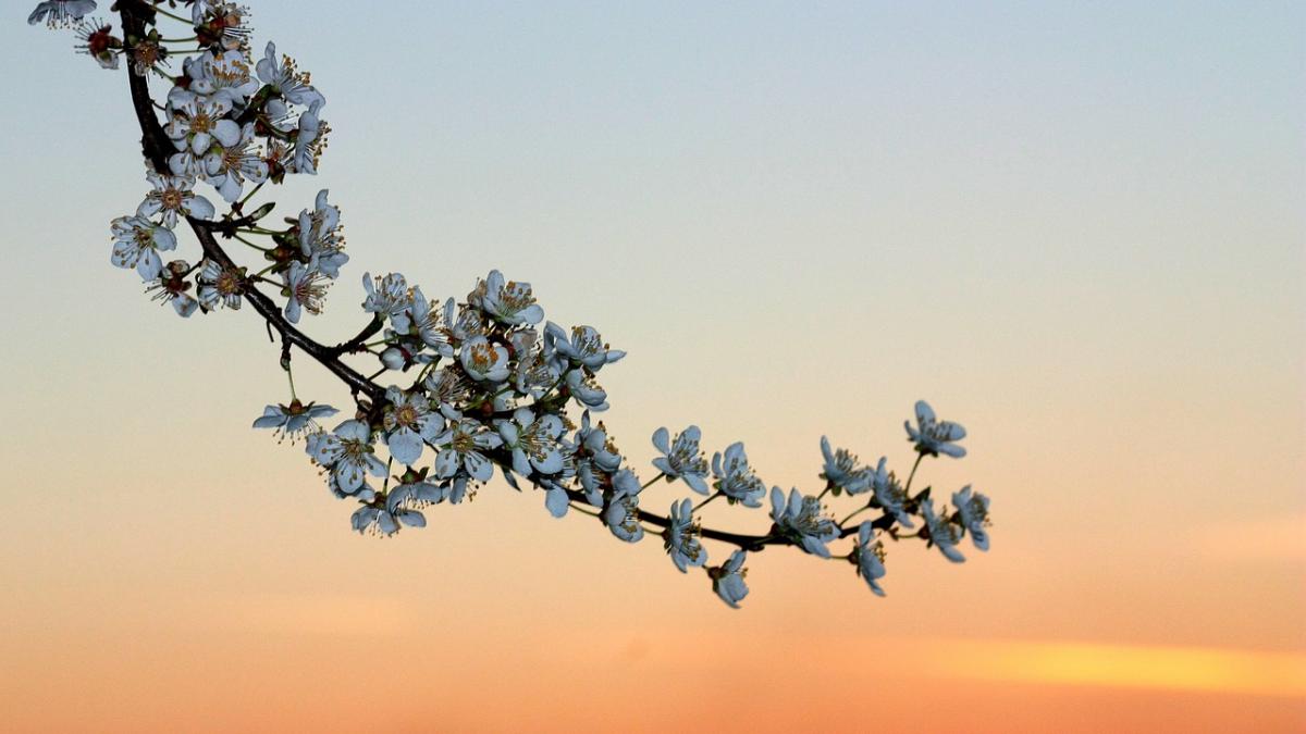 prognoza meteo ce se intampla dupa vremea neobisnuit de calda