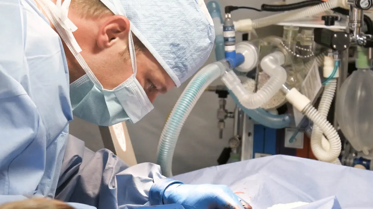 a murit din cauza unei greseli facute de medici acestia au incurcat substantele in timpul operatiei