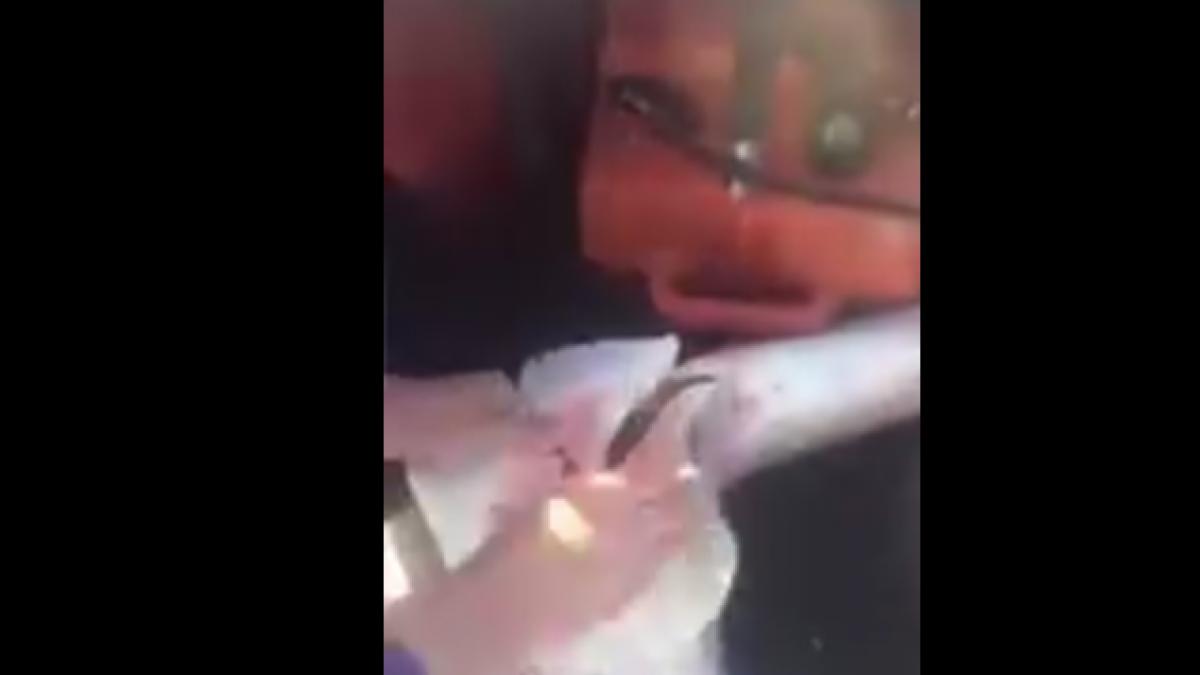 a capturat un rechin mort din ape cand a observat ca se misca ceva in interiorul sau a luat un