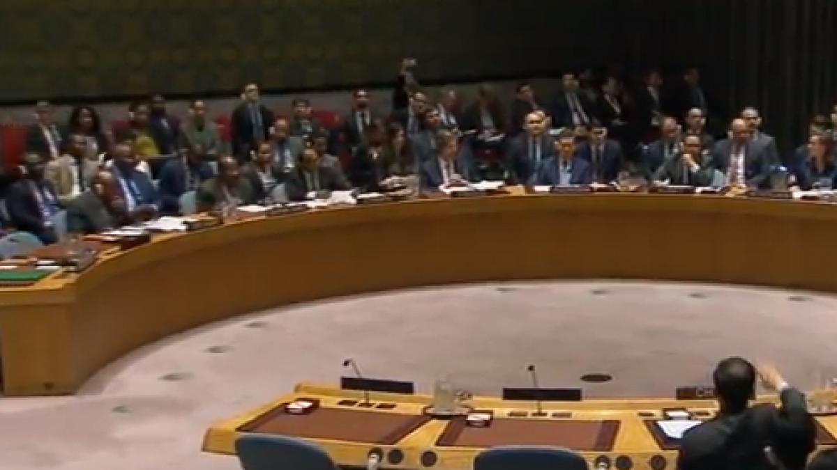 consiliul de securitate al onu respinge rezolutia propusa de rusia care condamna loviturile aeriene