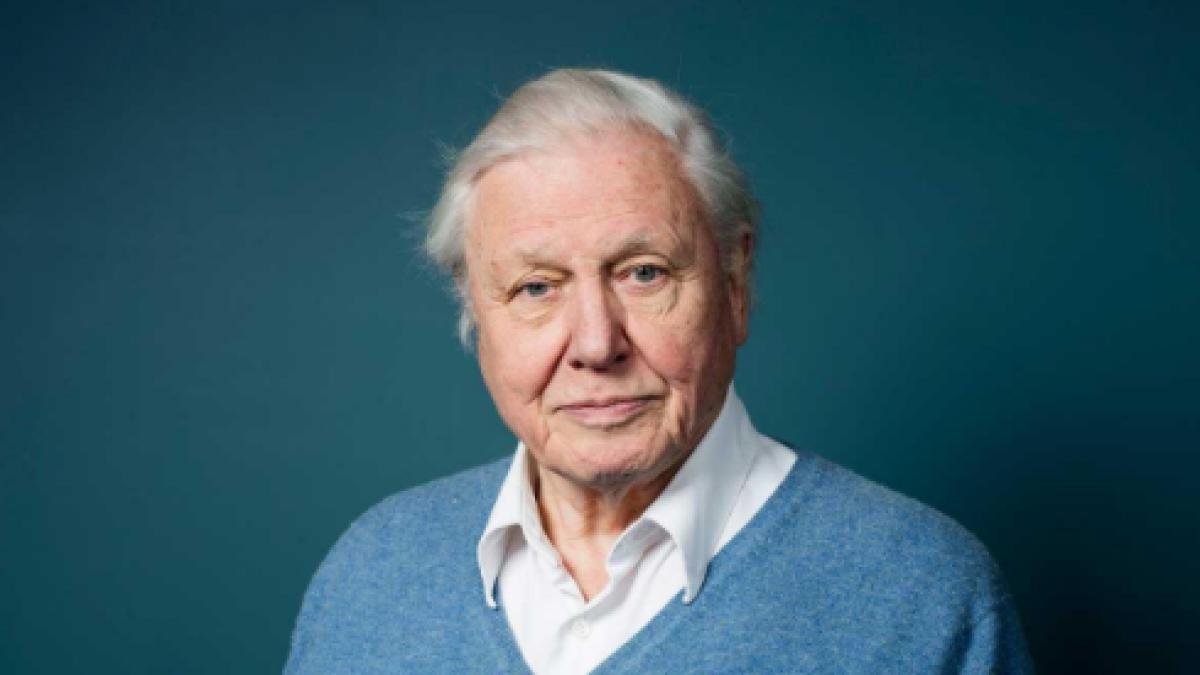 un cunoscut prezentator tv la un pas de moarte in timpul filmarilor