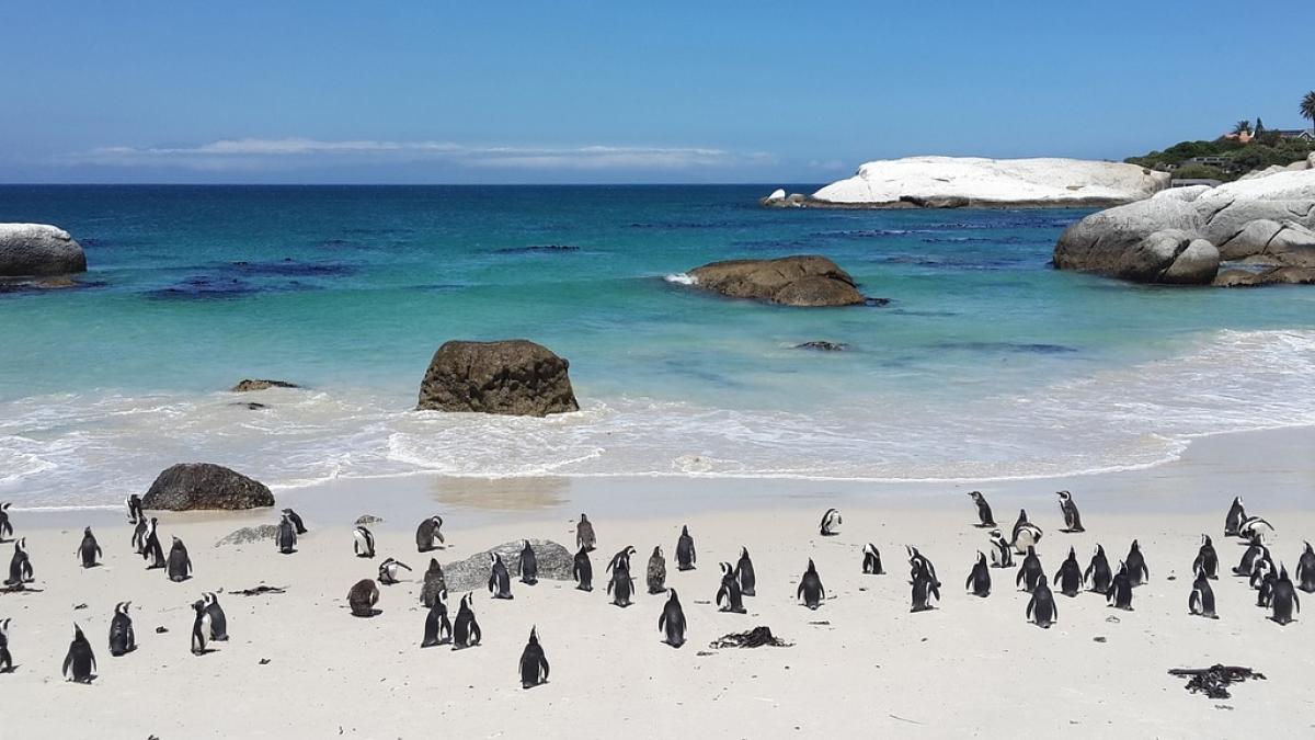 descoperire incredibila in noua zeelanda oamenii au ramas socati cand au vazut ce se afla acolo