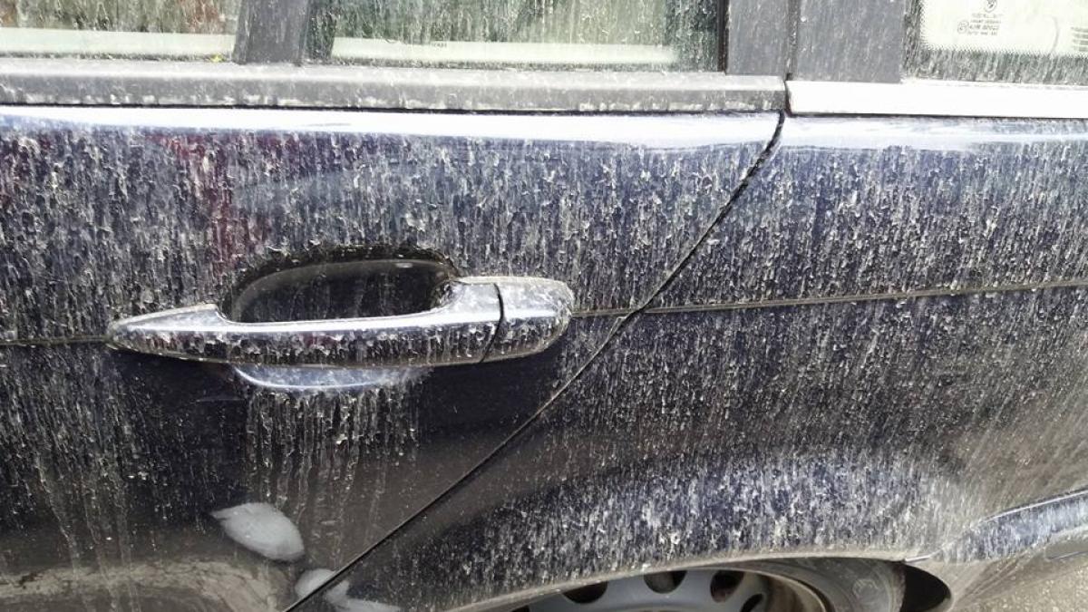 fenomen extrem la timisoara a plouat cu noroi foto