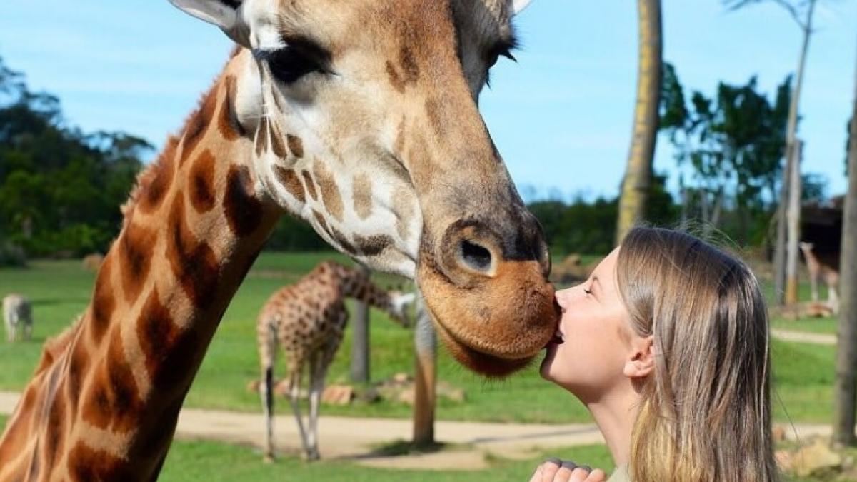 a criticat o pentru ca se fotografia cu animale periculoase abia cand i a vazut numele a inteles