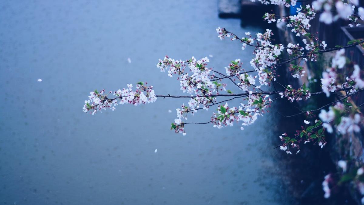 vremea se schimba in urmatoarele ore anuntul meteorologilor