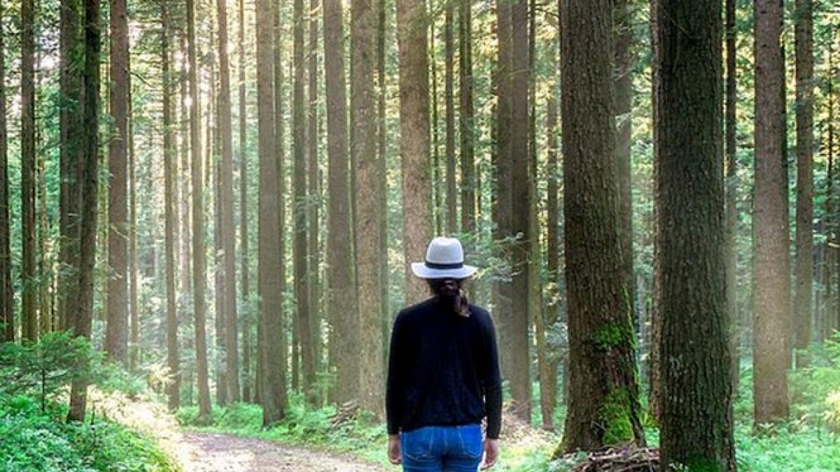 cum a fost gasita rebeca adolescenta disparuta din timisoara de o saptamana si ce le a spus