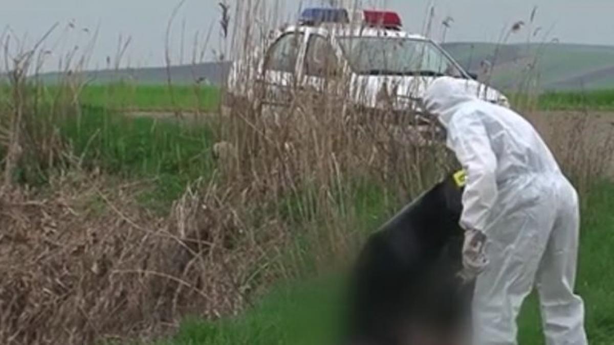 descoperire macabra in raul mures