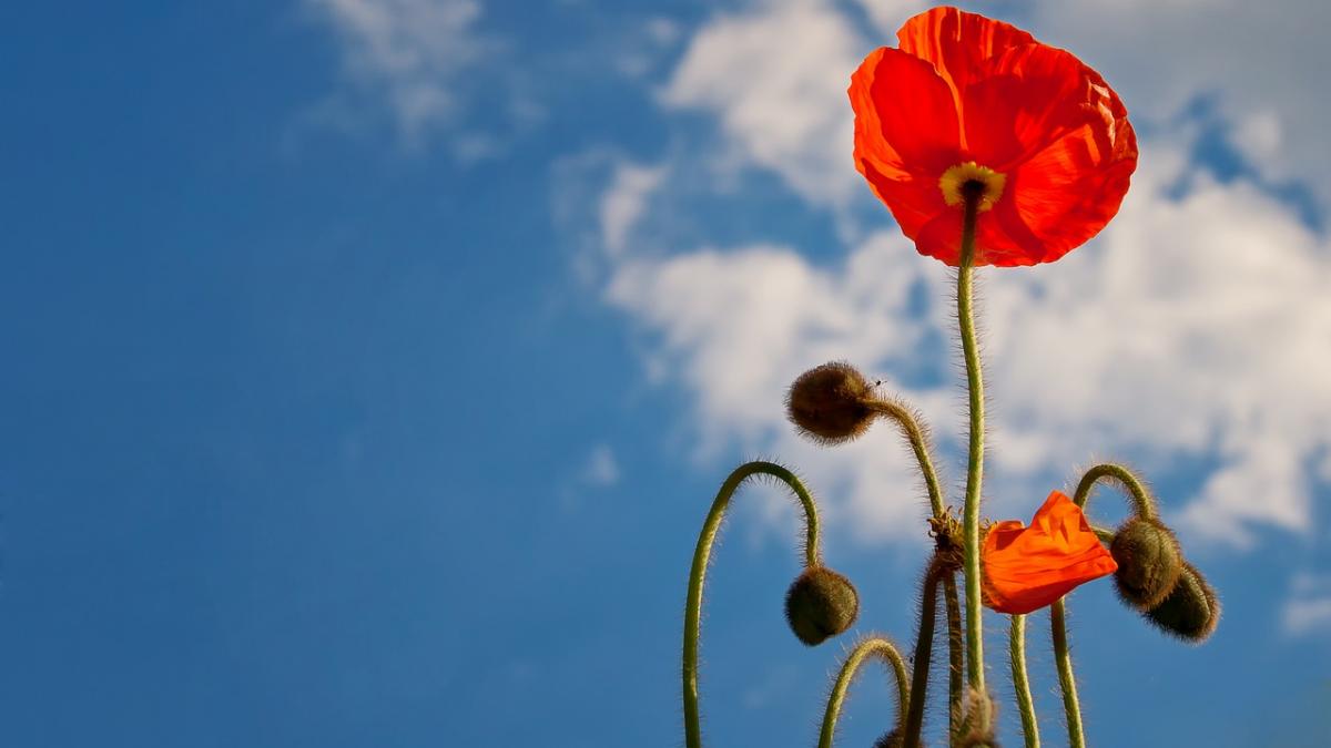 meteorologii anunta o vreme usor mai calda decat in mod normal in aceasta perioada a anului