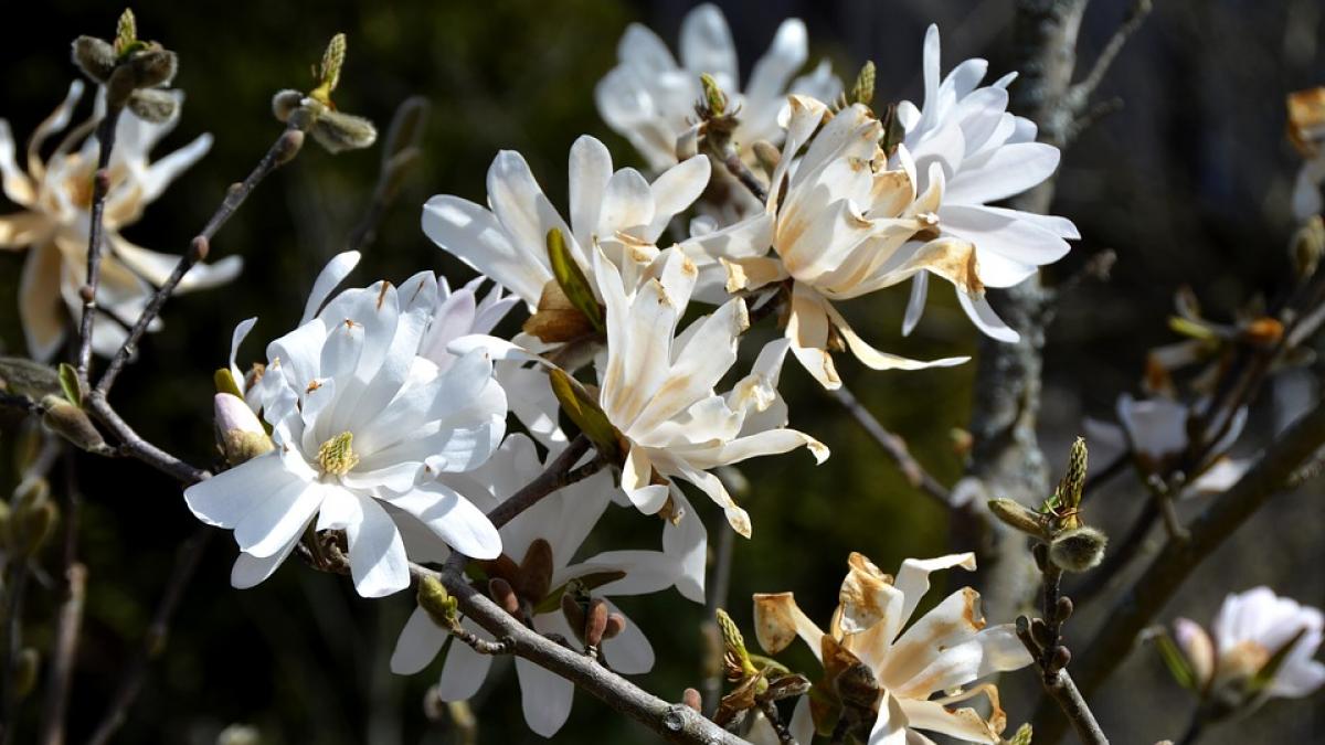 prognoza meteo cum va fi vremea in weekend