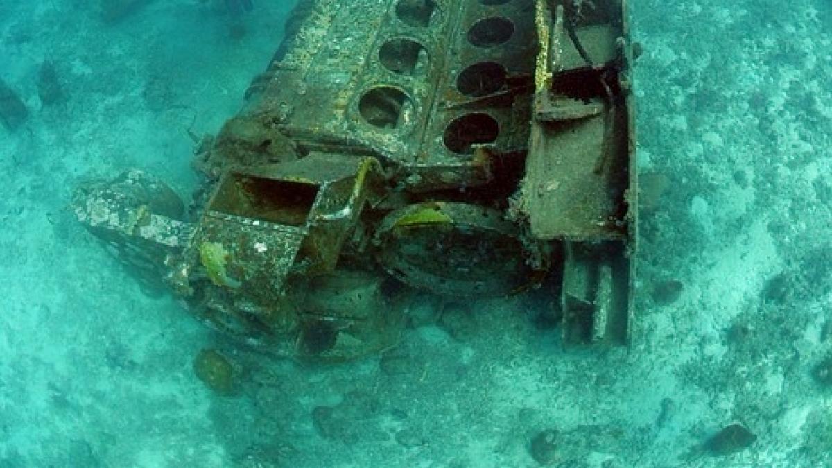 descoperire neasteptata in costa rica nimeni nu se astepta la acest lucru