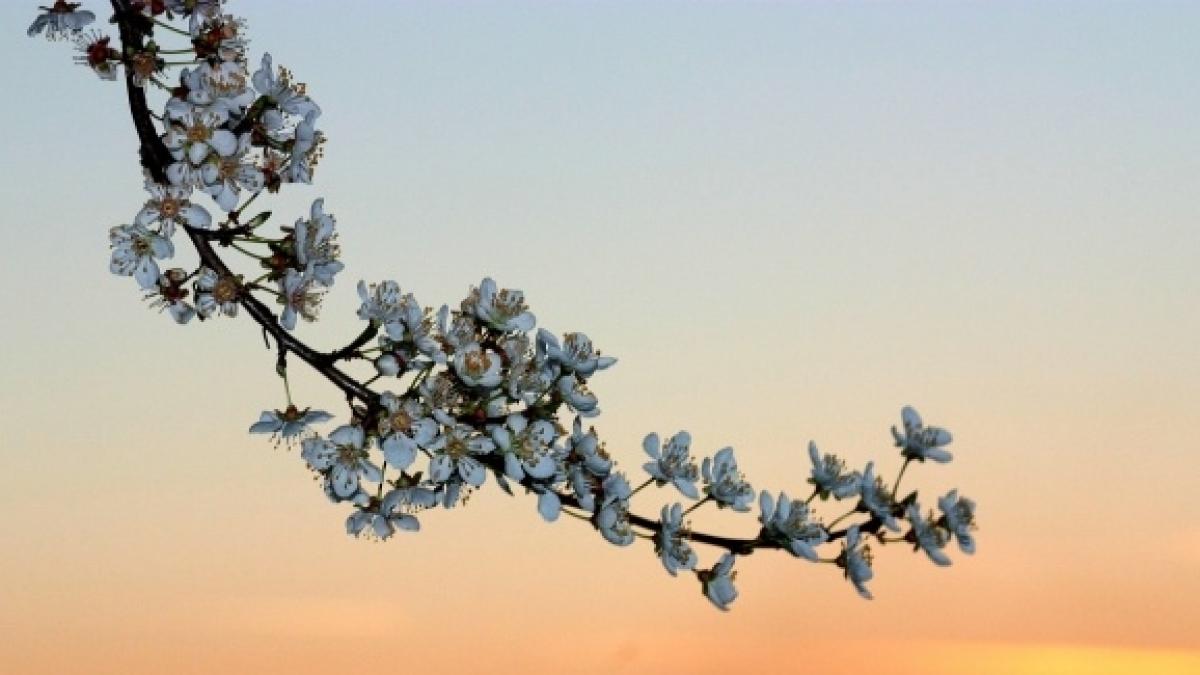 vreme deosebit de calda in tara si in capitala prognoza meteo pentru sambata si duminica