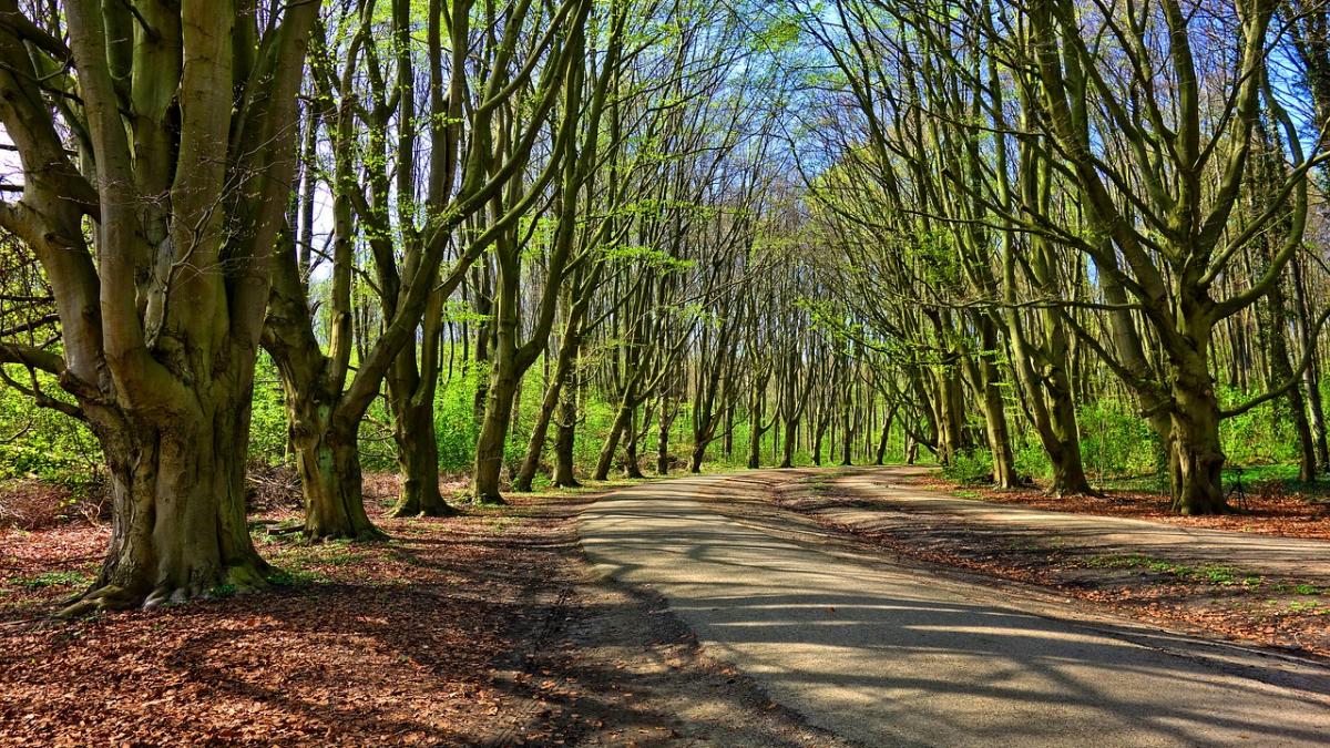 meteo cum va fi vremea in aceasta saptamana
