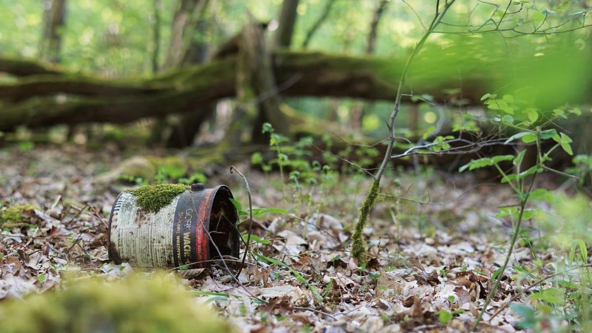 ministerul mediului de ziua pamantului fiecare dintre noi are puterea sa combata aceasta suferinta
