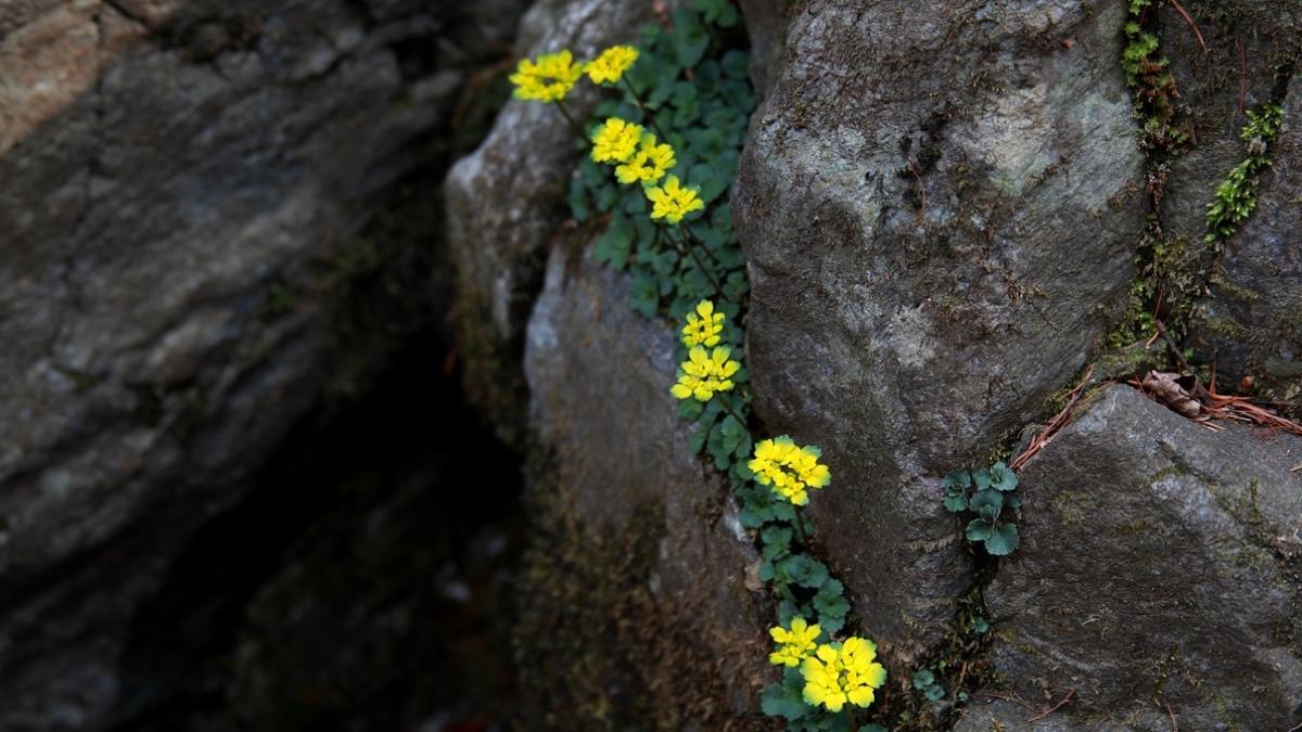 povestea barbatului din prahova care si a sapat cu tarnacopul o locuinta cu sapte camere intr o