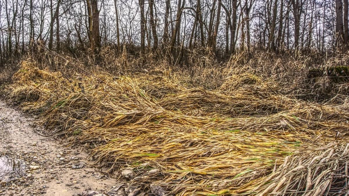 una dintre cele mai puternice arme din istorie a lasat o urma permanenta asupra mediului