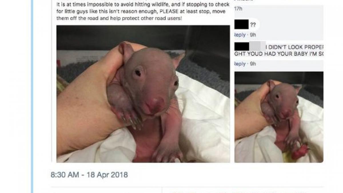 a postat pe facebook aceasta poza iar replica prietenei sale a lasat o fara cuvinte vaaai felicitari