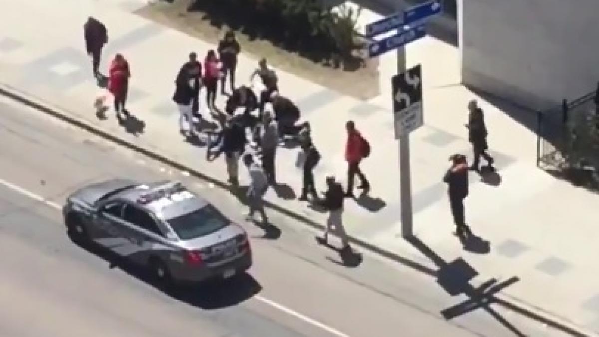 o duba a intrat in multime in toronto canada mai multe victime video