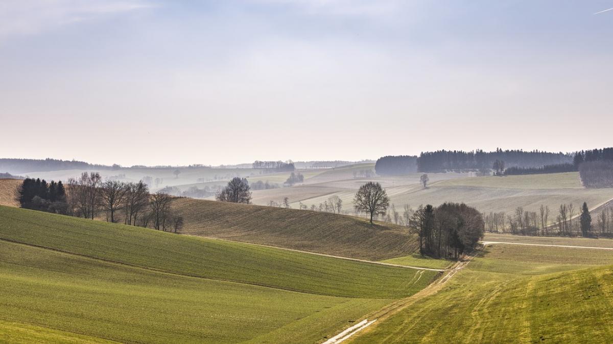 obiceiuri de sfantul gheorghe protectorul vegetatiei al naturii inverzite al vitelor si al oilor