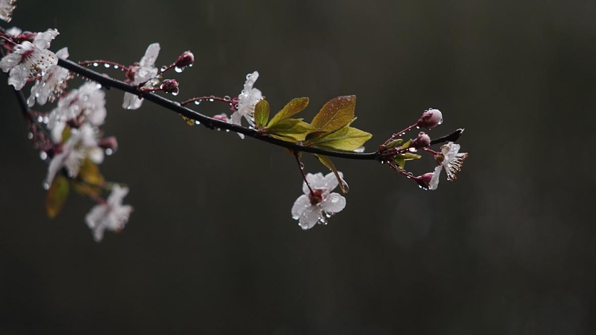 prognoza meteo vremea se schimba radical