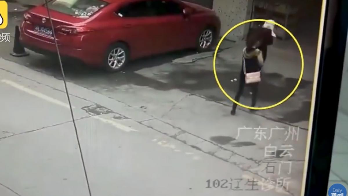 socant a ajuns la spital dupa ce i a cazut un caine in cap video