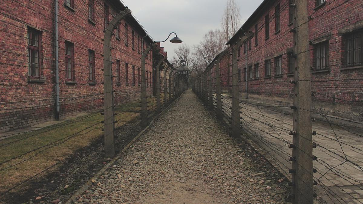 unul dintre cele mai mari mistere ale unei evadari din timpul holocaustului a fost dezlegat planul