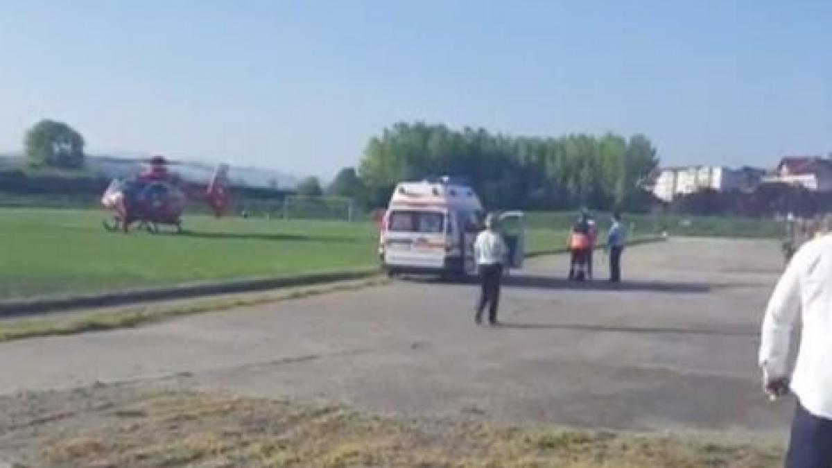 momente de panica pentru un adolescent a fost muscat de o vipera in timp ce se afla pe