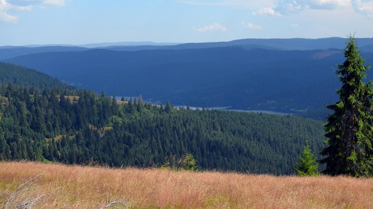 locul din romania unde aurul curge la propriu in rauri