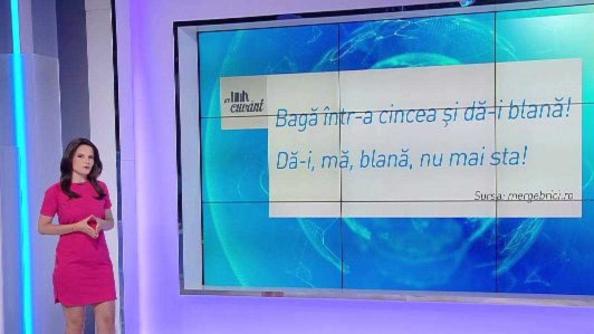 pe cuvant cu ana iorga despre semnificatia cuvintelor argotice blana si tipla