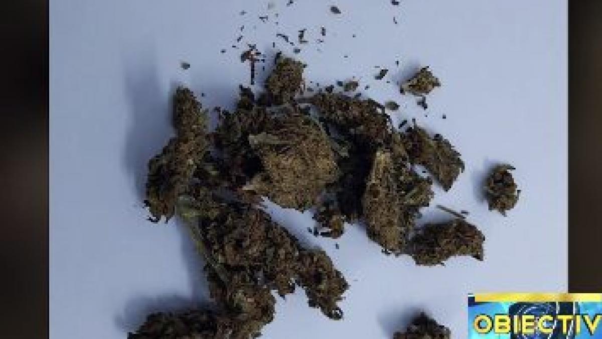 peste zece tineri prinsi cu droguri asupra lor in mamaia si vama veche ce masuri vor lua