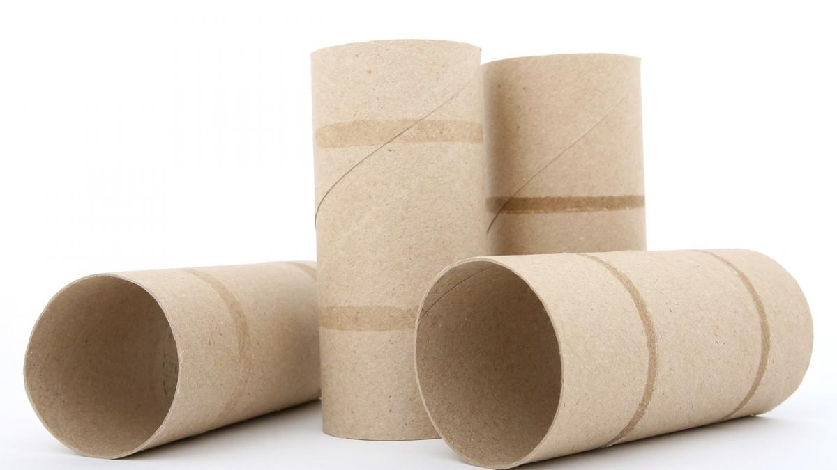 ce poti sa faci cu tuburile ramase de la hartia igienica