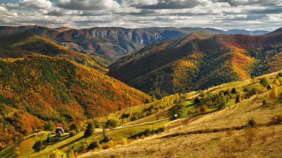 cuplurile care se muta intr o zona din apuseni vor primi o suma de bani