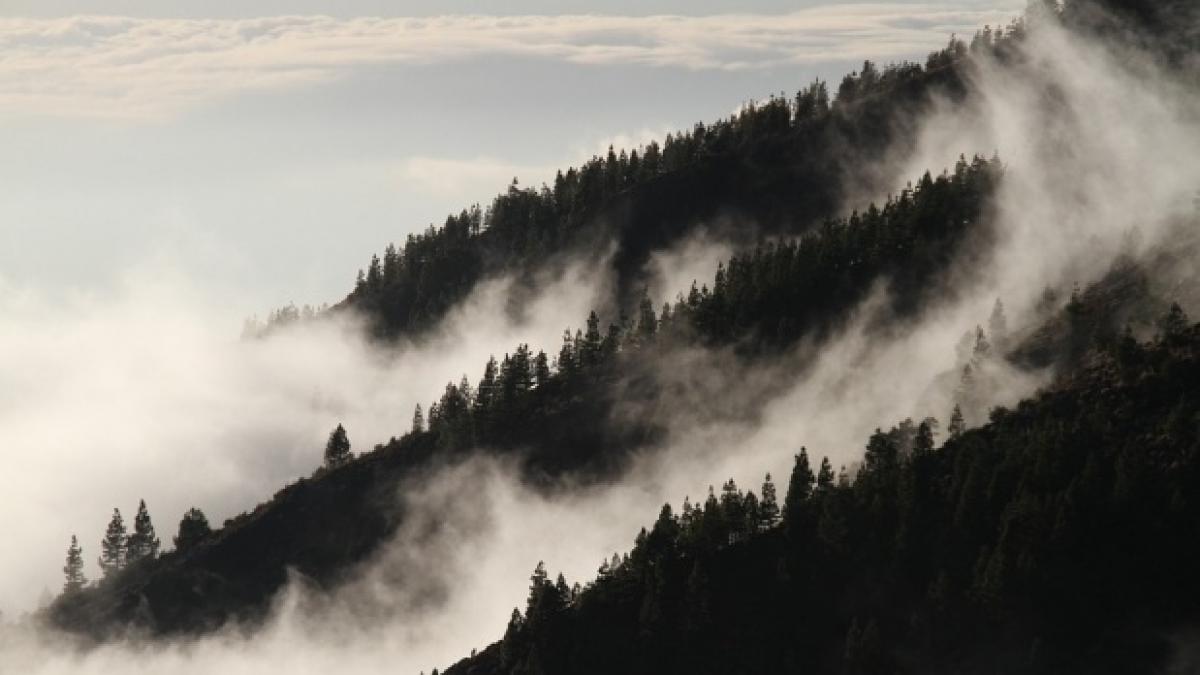 misterul cetii ucigase din londra a fost rezolvat dupa 60 de ani