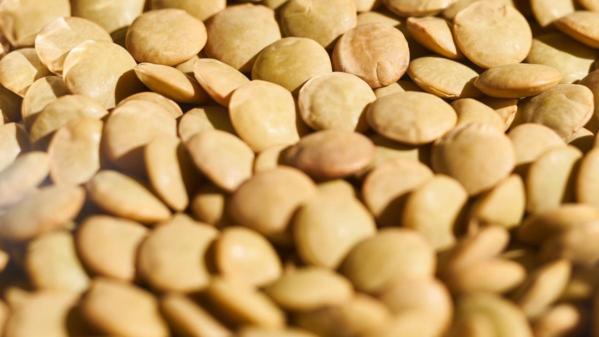 alimentul care intarzie imbatranirea si mentine creierul in forma sigur nu te gandeai la asta