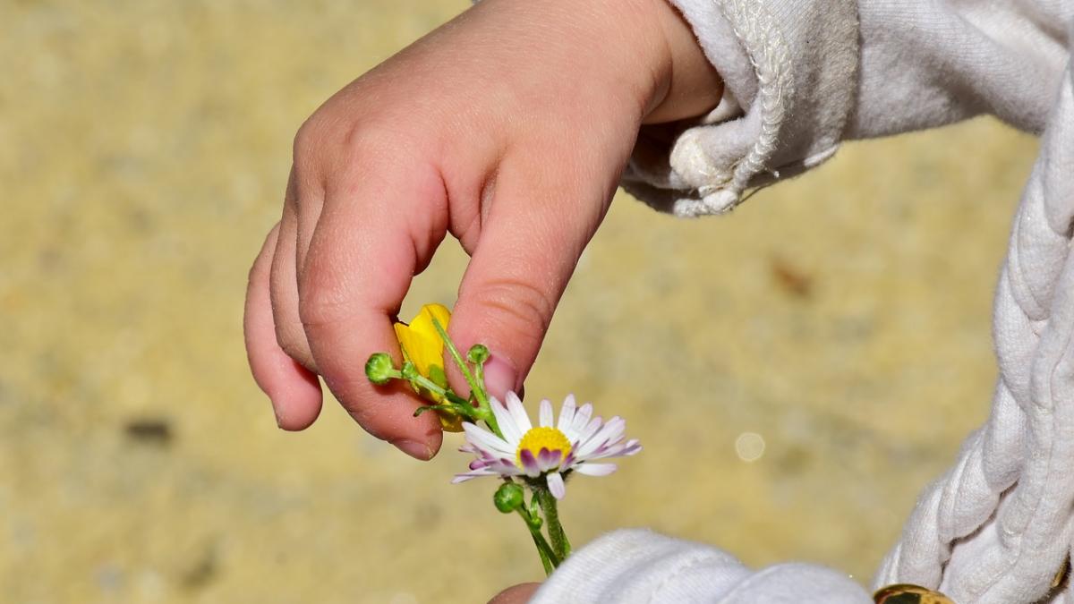 tragedie in judetul brasov o fetita de doi ani a murit dupa ce a atins un cablu neizolat