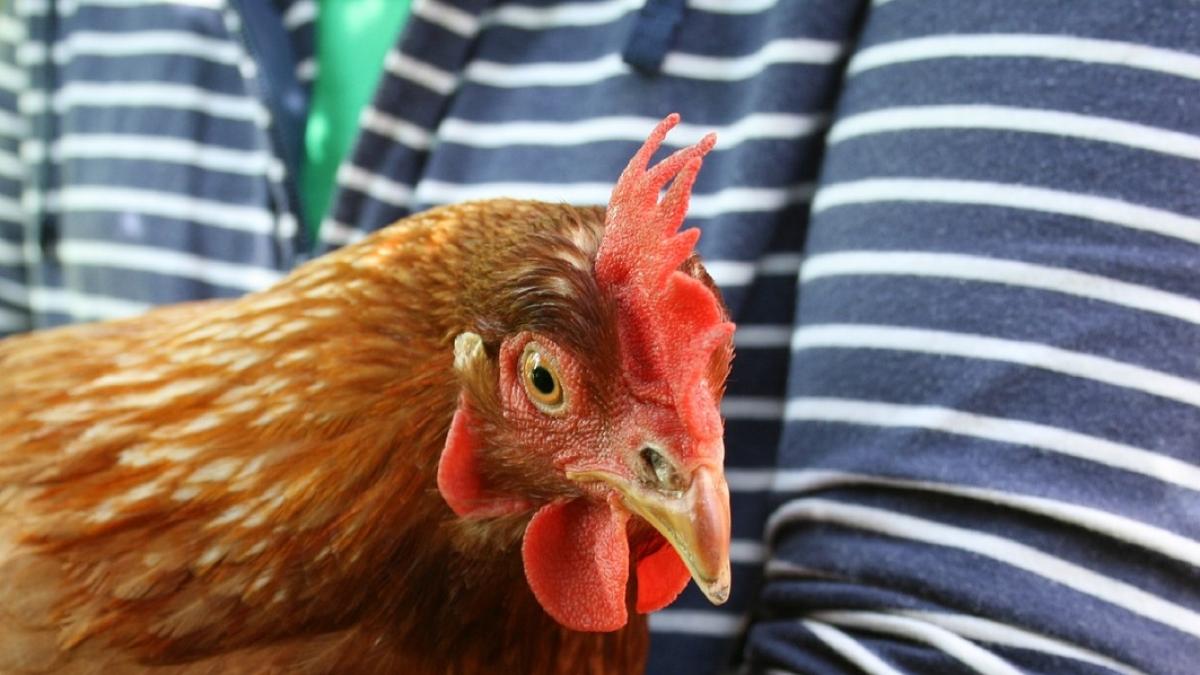 a reusit sa stranga 500 000 de dolari dintr o afacere inedita ce idee a avut aceasta femeie