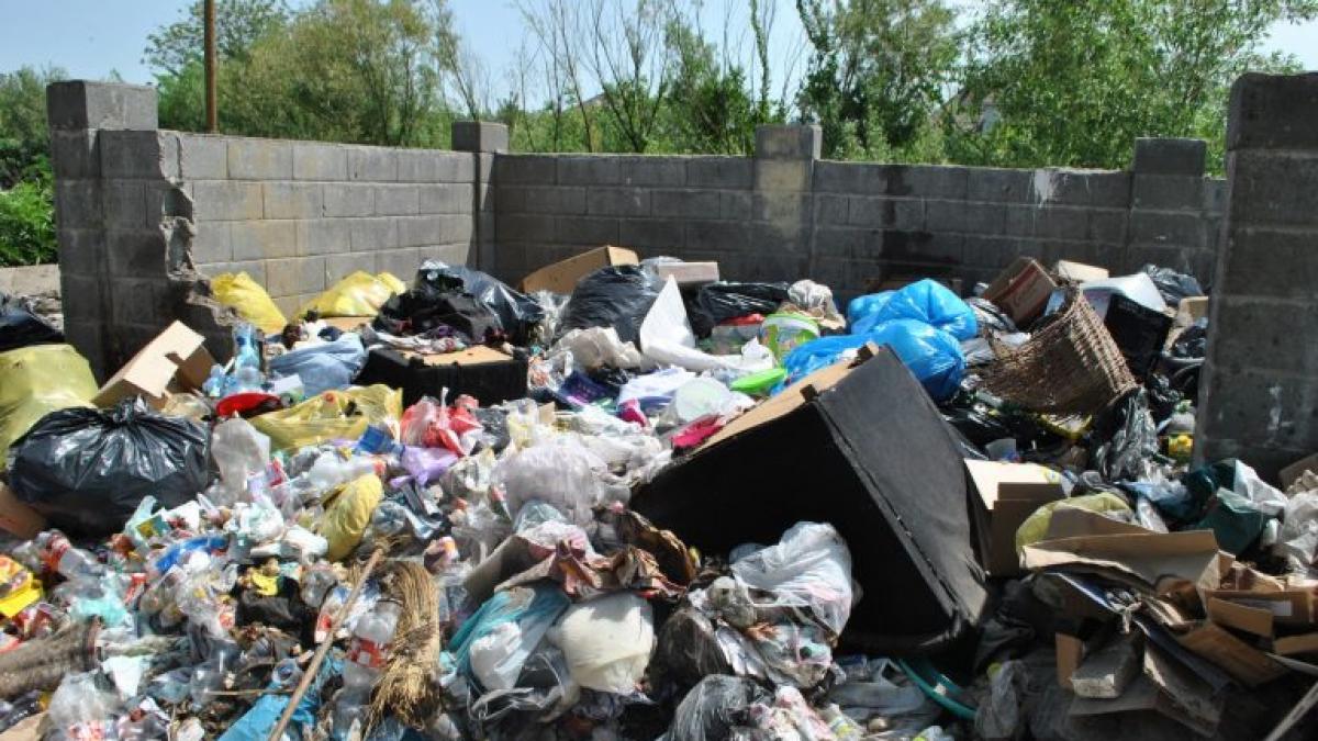 dezastru la arad falca printul pubelelor pline