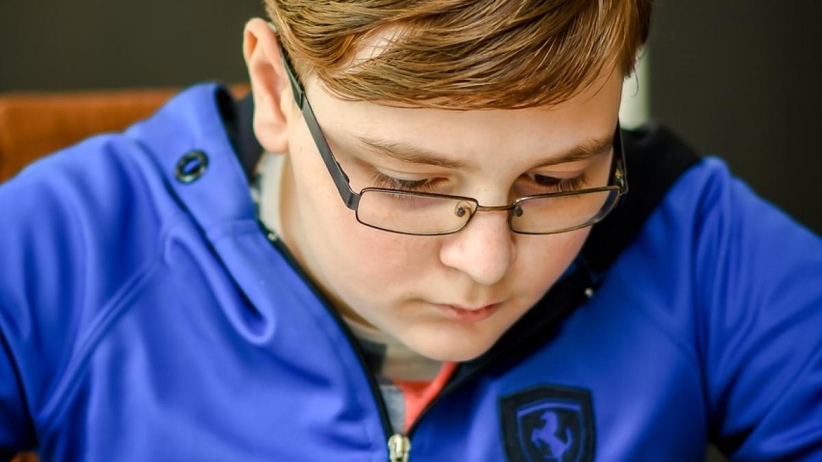 evaluare nationala clasa a ii a 2018 modele de subiecte pentru limba romana scris