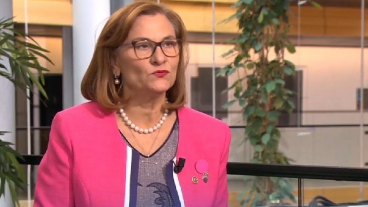 maria grapini critici dure la adresa lui emmanuel macron