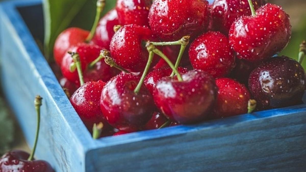 primele cirese la un pret ce iti taie pofta cat costa un kilogram in piete