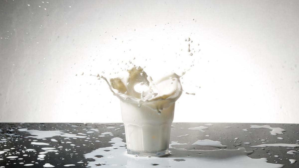 ce este laptele de ovaz si daca este bun pentru sanatate