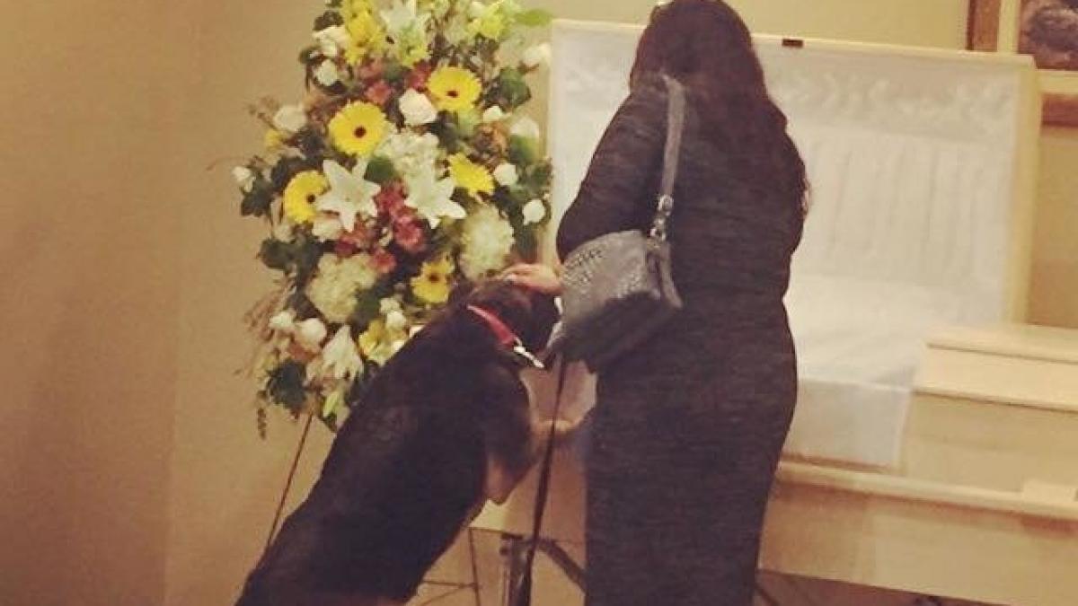 catelul s a apropiat de sicriu s a ridicat in doua labute si a inceput sa planga a fost modul sau