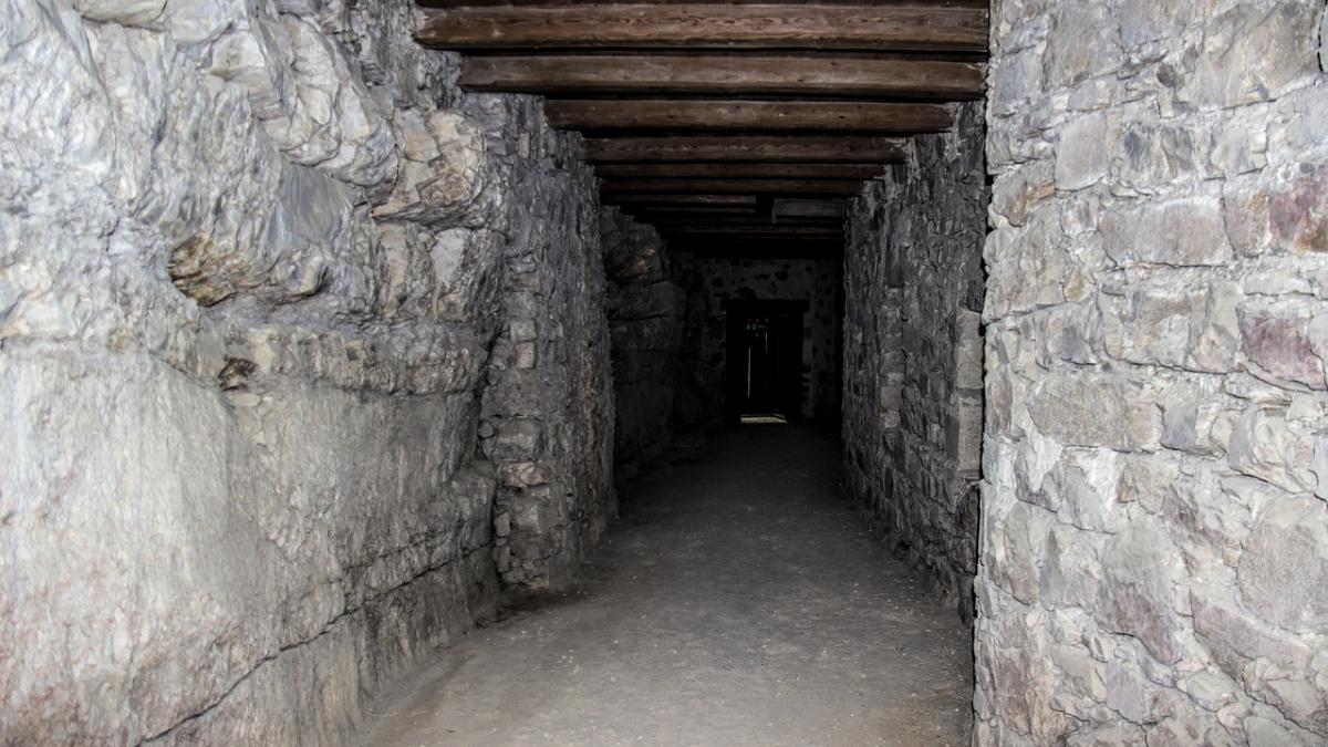 caz socant cadavrul unui barbat ucis anul trecut a fost gasit intr un beci din suceava