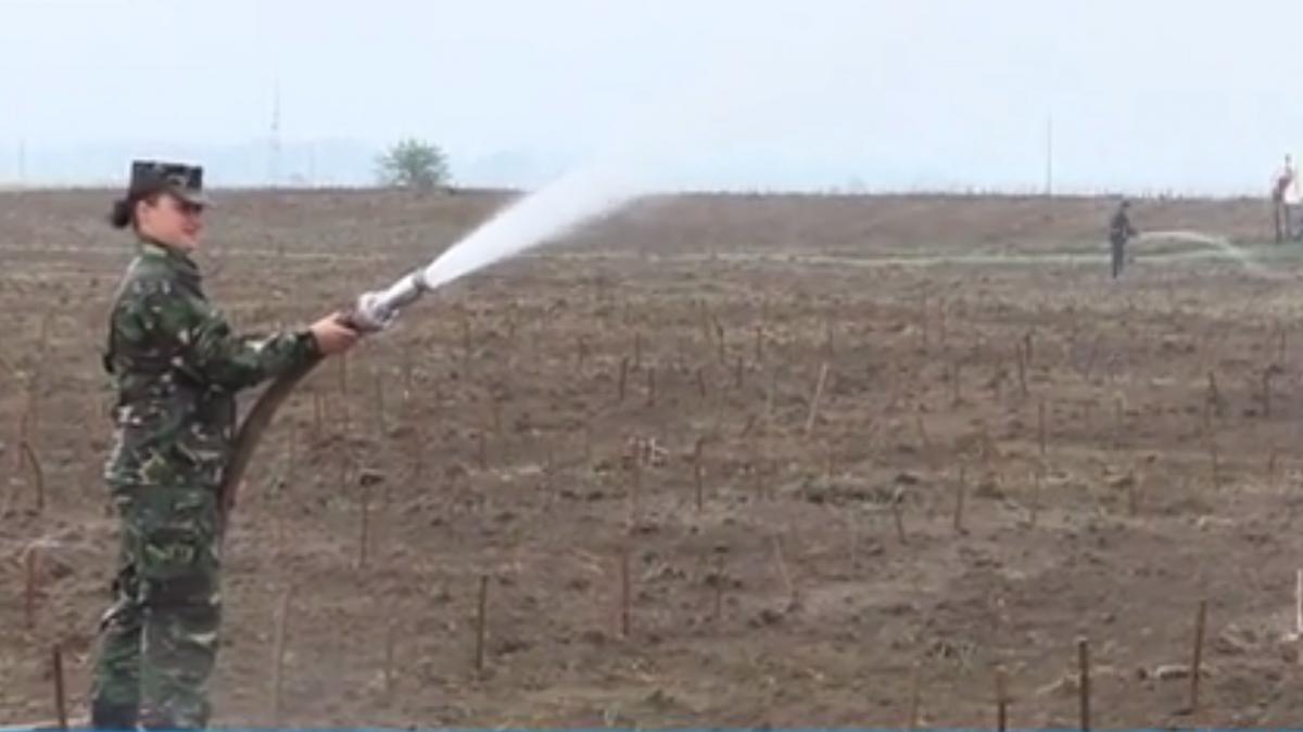 cei 115 000 de stejari prind radacini in parcul memoriei nationale din vrancea