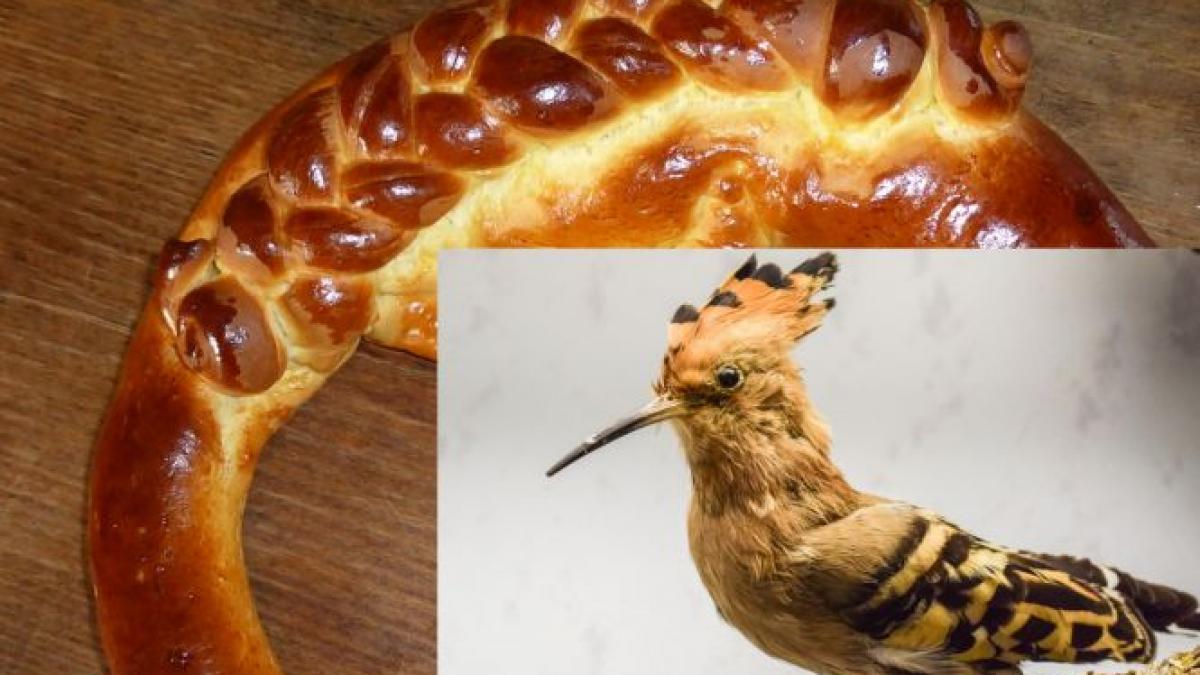 de unde vine expresia colac peste pupaza sigur nu stiai asta