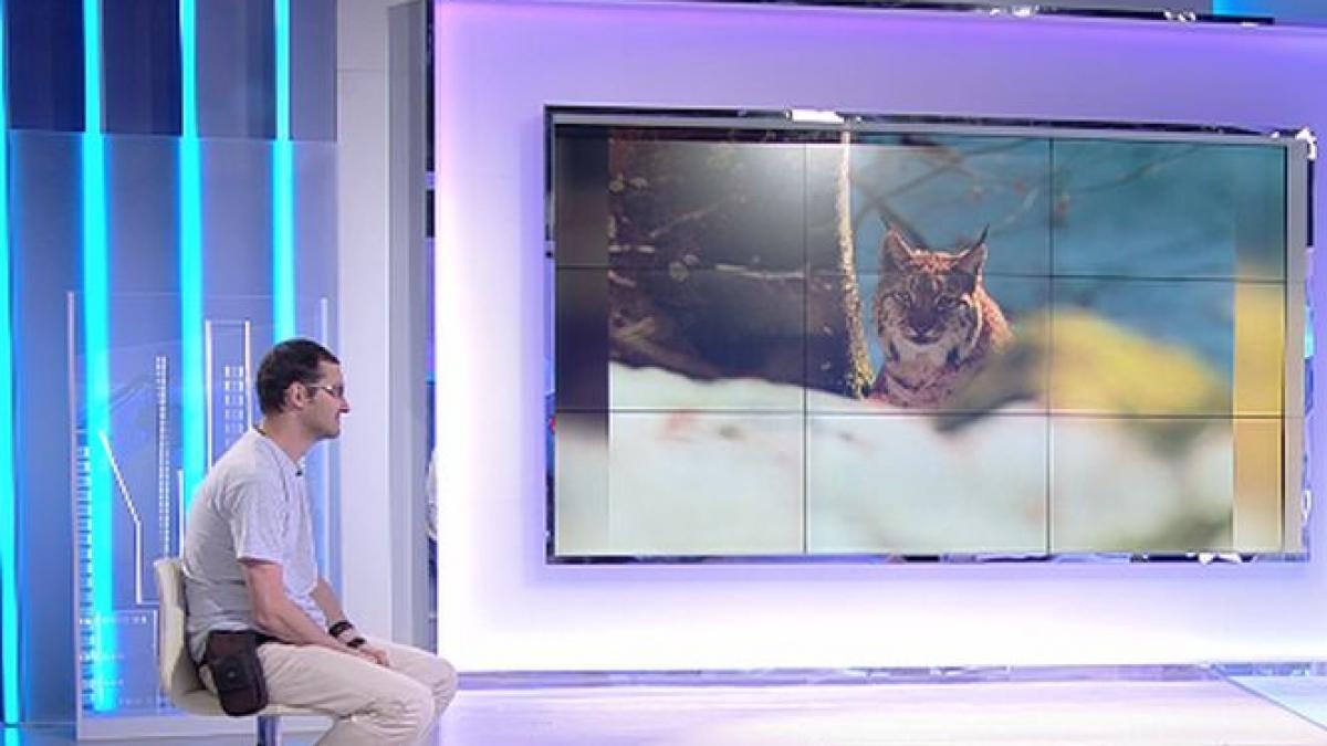 eroul zilei silviu matei fotograful care arata lumii frumusetile romaniei