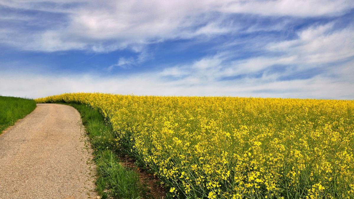 prognoza meteo cum va fi vremea in urmatoarele trei zile