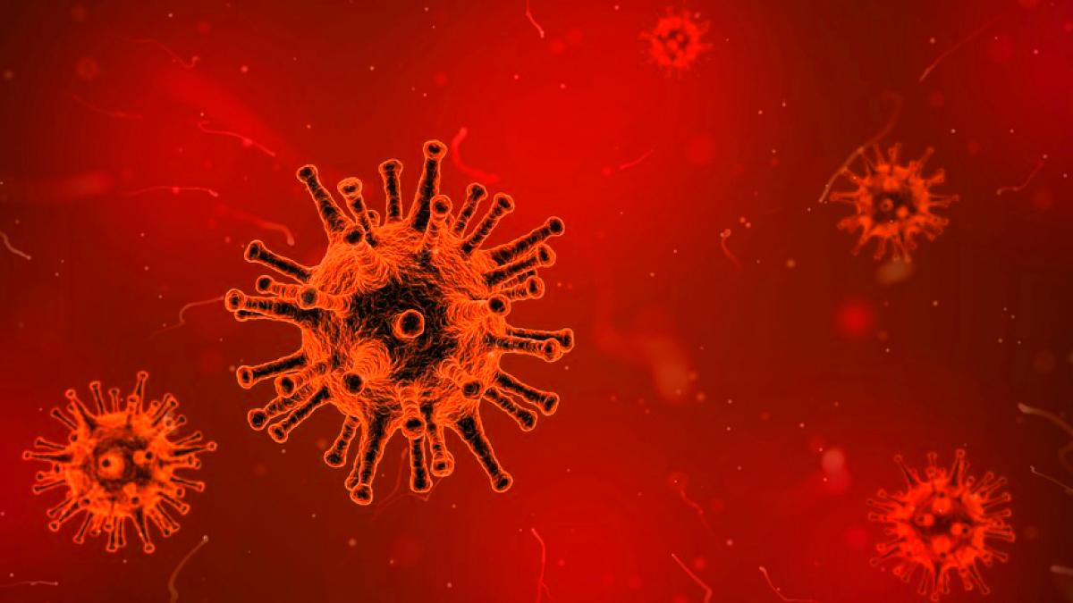 reputat specialist oncolog acest tip de cancer ataca din ce in ce mai multi oameni