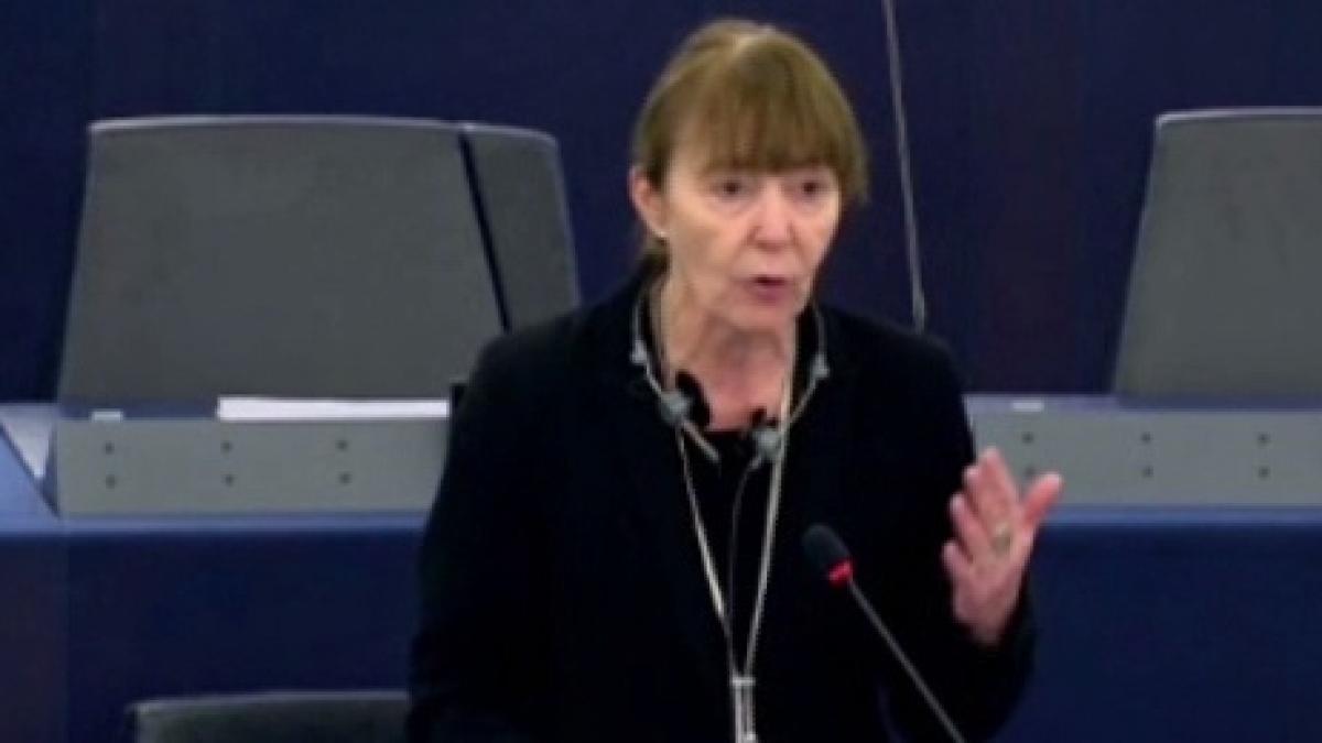 monica macovei a fost audiata de procurorii diicot